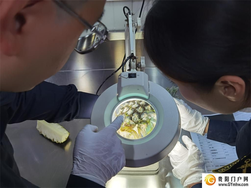 第六届进博会｜溢出效应扩大 发展动能澎湃——从六届进博会看中国开放的世界机遇(图3)