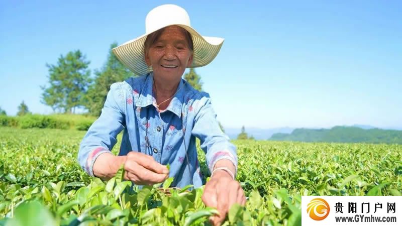 东西协作｜沿河：“山”呼“海”应赴新程(图11)