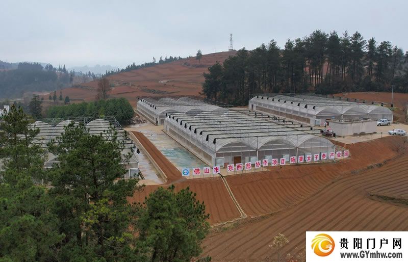 徐麟在黔东南州调研(图6)