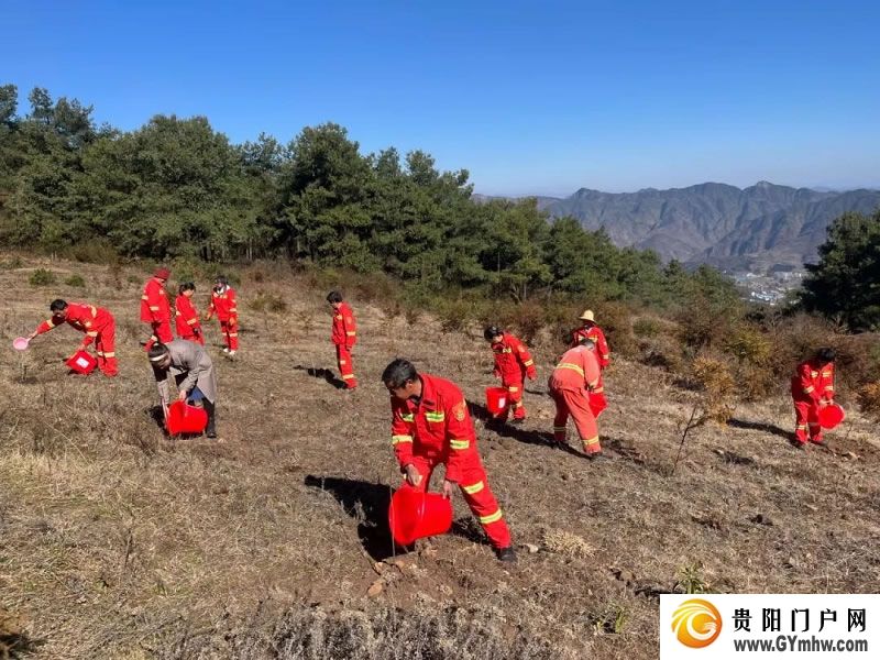 “植”此青绿 不负青山 贵州各地开展义务植树活动(图3)