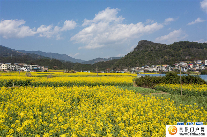 贵州从江：和美乡村春意浓(图4)