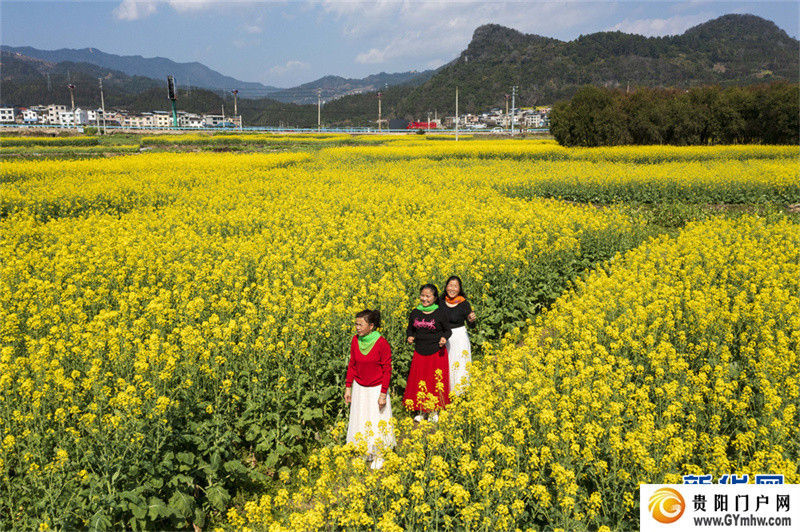 贵州从江：和美乡村春意浓(图8)
