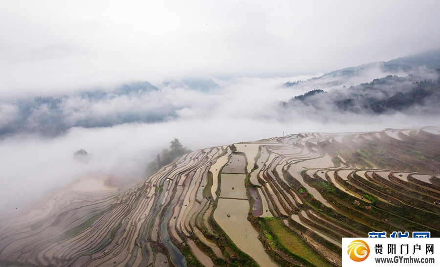 贵州从江：雾漫梯田(图5)