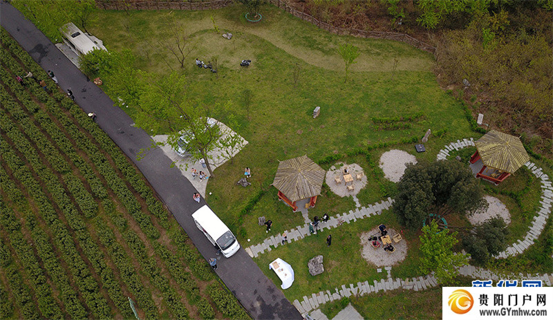 贵阳：美景茶香引客来(图6)