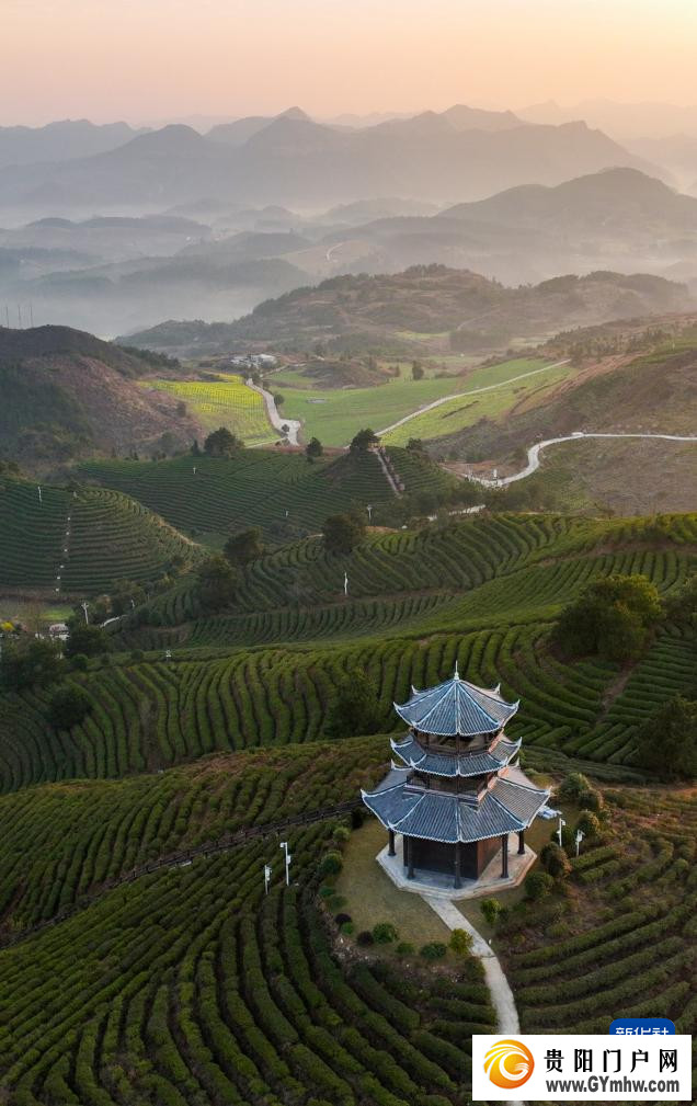 春日上春山(图4)