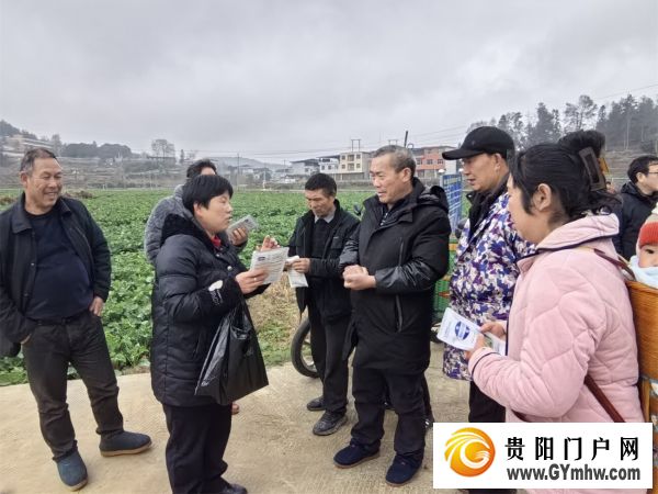 碧江：农技服务进田间 油菜管护促丰收(图2)