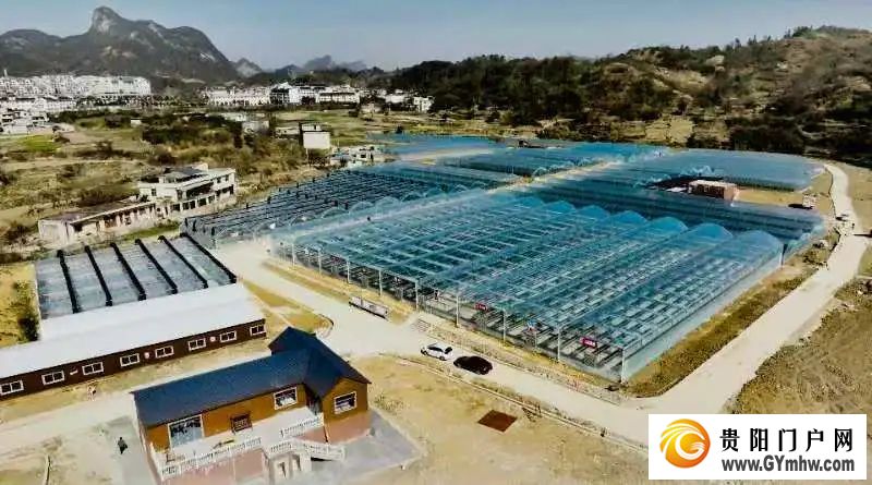 花溪《草莓园区建设规范》地方标准正式实施(图2)