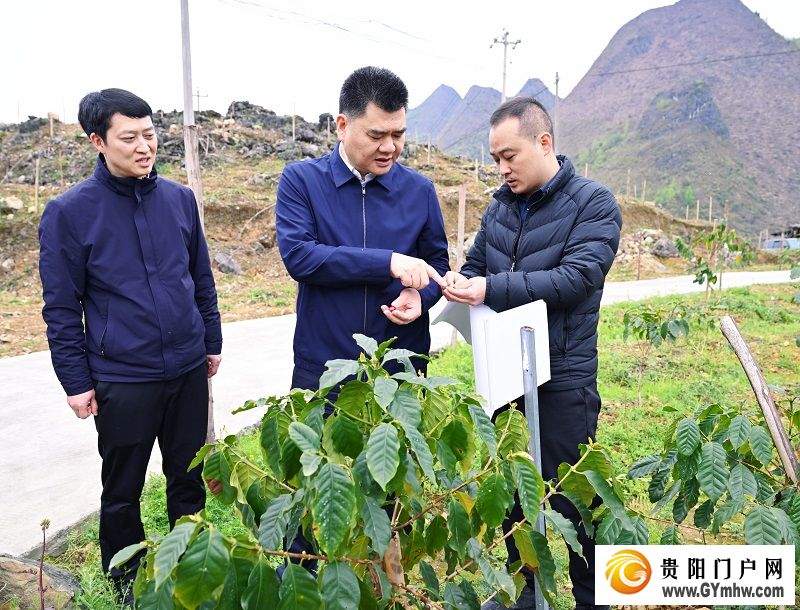 王宏调研贵阳市联系协作罗甸县助力乡村全面振兴工作(图1)