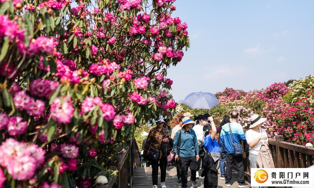 快出发！这些地方陆续美成仙境！(图9)