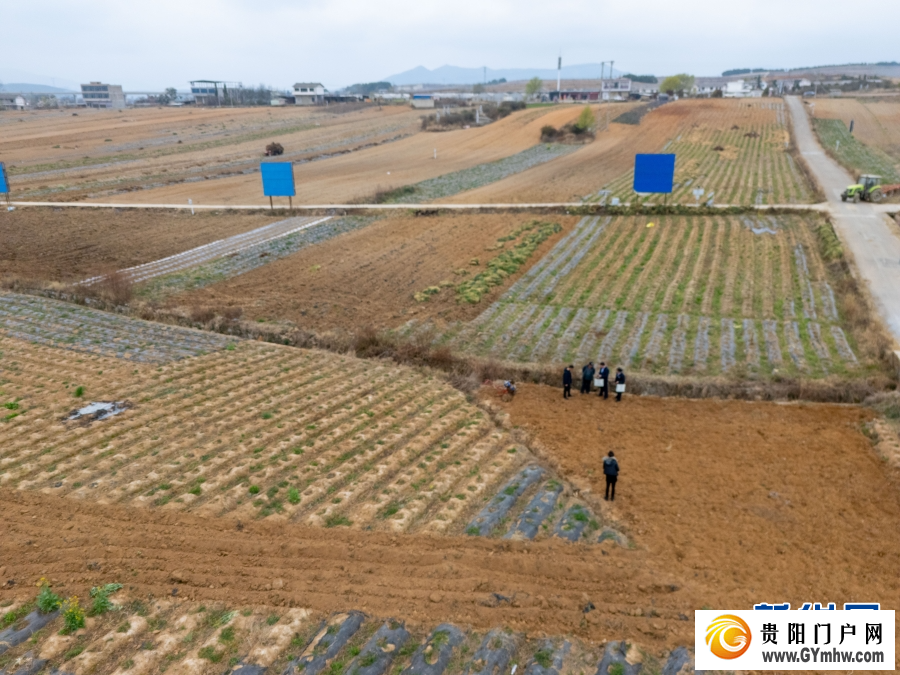 2026年贵州早春茶产销对接会在晴隆举行(图2)